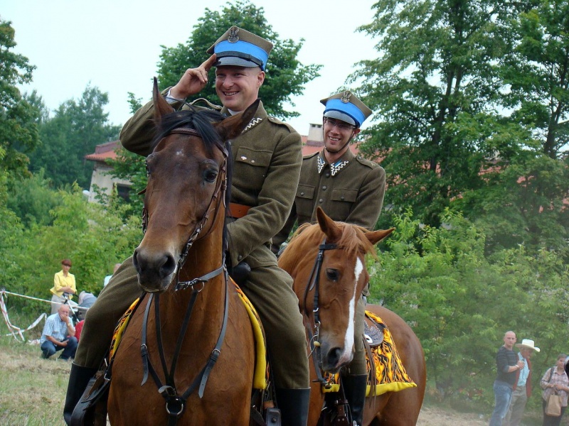 Zdjęcie w galerii na portalu naszwodzislaw.com: Koń Leon uciągnął 1200 kg wiadomości z regionu