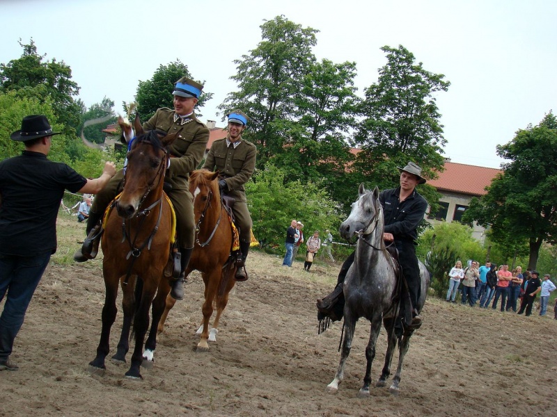 Zdjęcie w galerii na portalu naszwodzislaw.com: Koń Leon uciągnął 1200 kg wiadomości z regionu