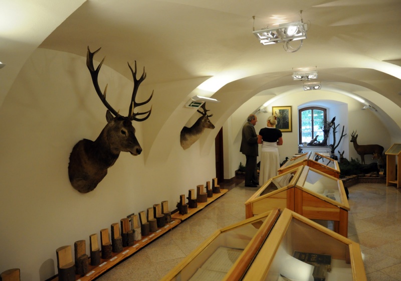 Zdjęcie w galerii na portalu naszwodzislaw.com: Śląskie Sherwood na raciborskim zamku wiadomości z regionu