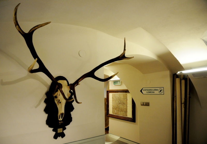 Zdjęcie w galerii na portalu naszwodzislaw.com: Śląskie Sherwood na raciborskim zamku wiadomości z regionu