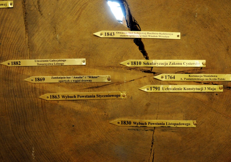 Zdjęcie w galerii na portalu naszwodzislaw.com: Śląskie Sherwood na raciborskim zamku wiadomości z regionu