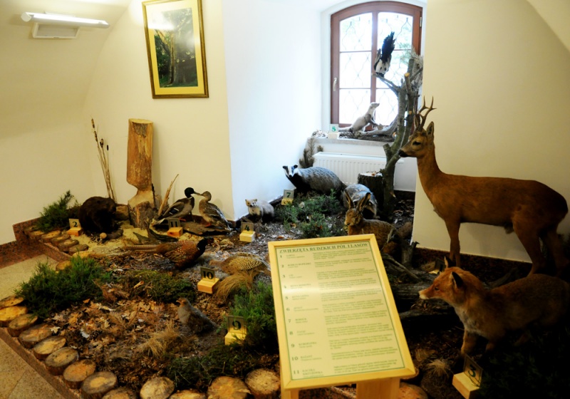 Zdjęcie w galerii na portalu naszwodzislaw.com: Śląskie Sherwood na raciborskim zamku wiadomości z regionu