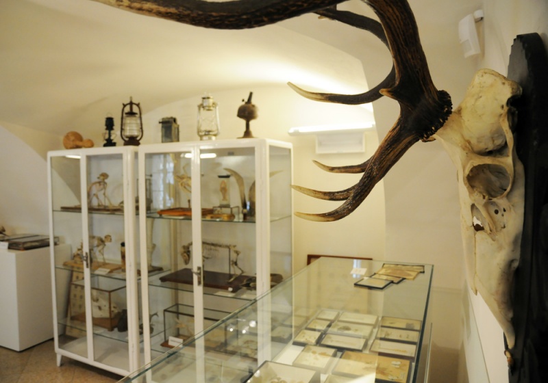 Zdjęcie w galerii na portalu naszwodzislaw.com: Śląskie Sherwood na raciborskim zamku wiadomości z regionu