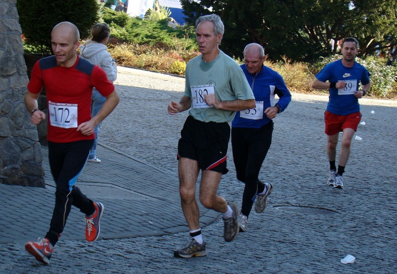 Zdjęcie w galerii na portalu naszwodzislaw.com: 288 osób pobiegło w PÓŁMARATONIE wiadomości z regionu