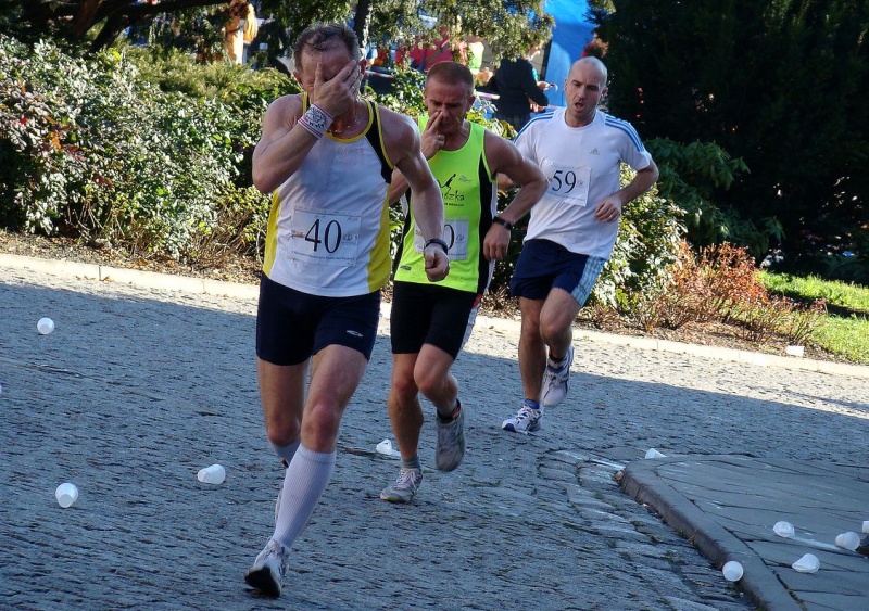 Zdjęcie w galerii na portalu naszwodzislaw.com: 288 osób pobiegło w PÓŁMARATONIE wiadomości z regionu