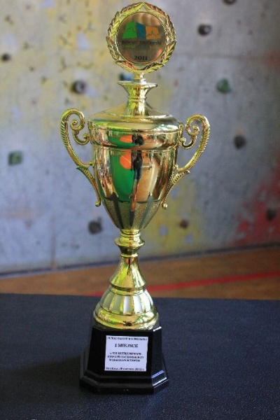 Zdjęcie w galerii na portalu naszwodzislaw.com: Mistrzostwa w skacie sportowym wiadomości z regionu