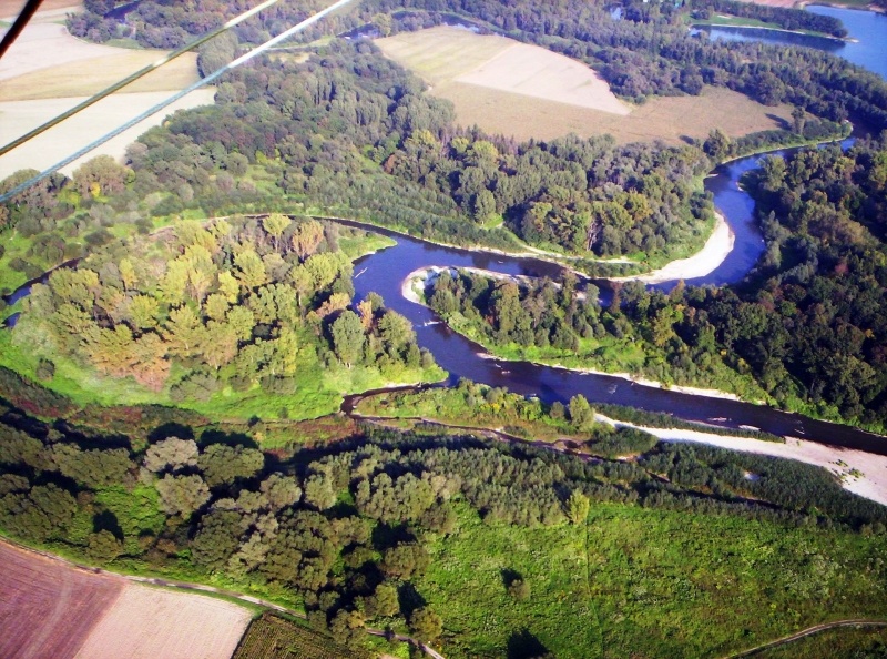 Zdjęcie w galerii na portalu naszwodzislaw.com: Odkryj Meandry Odry z questingiem wiadomości z regionu