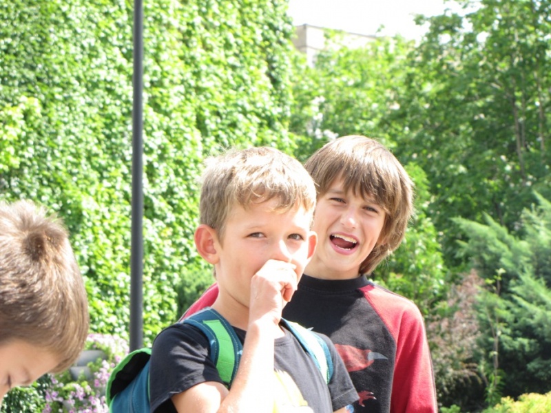 Zdjęcie w galerii na portalu naszwodzislaw.com: Po raz pierwszy zobaczyły Rybnik wiadomości z regionu