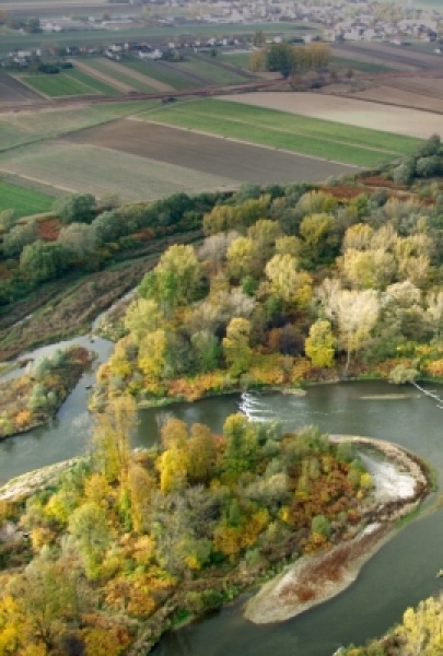 Zdjęcie w galerii na portalu naszwodzislaw.com: Odkryj Meandry Odry z questingiem wiadomości z regionu
