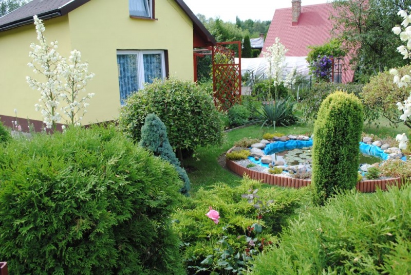 Zdjęcie w galerii na portalu naszwodzislaw.com: ROD Gajówka laureatem konkursu wiadomości z regionu