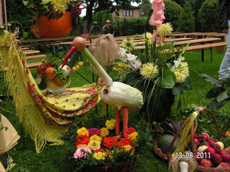 Zdjęcie w galerii na portalu naszwodzislaw.com: ROD Gajówka laureatem konkursu wiadomości z regionu