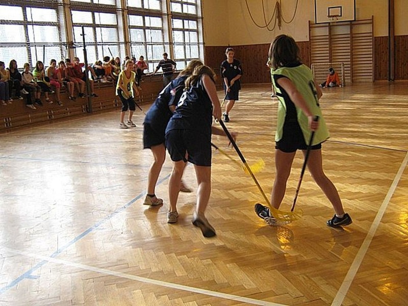 Zdjęcie w galerii na portalu naszwodzislaw.com: Krajobraz sportu w Zespole Szkół nr 2  wiadomości z regionu