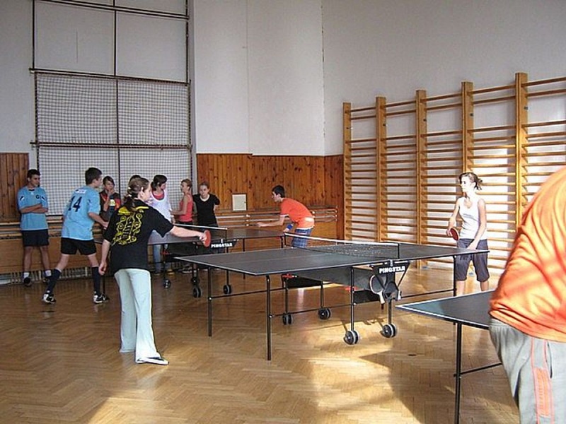 Zdjęcie w galerii na portalu naszwodzislaw.com: Krajobraz sportu w Zespole Szkół nr 2  wiadomości z regionu