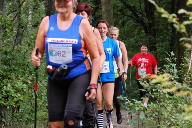 Zdjęcie w galerii na portalu naszwodzislaw.com: IG Korona Śląska rozpoczęta wiadomości z regionu