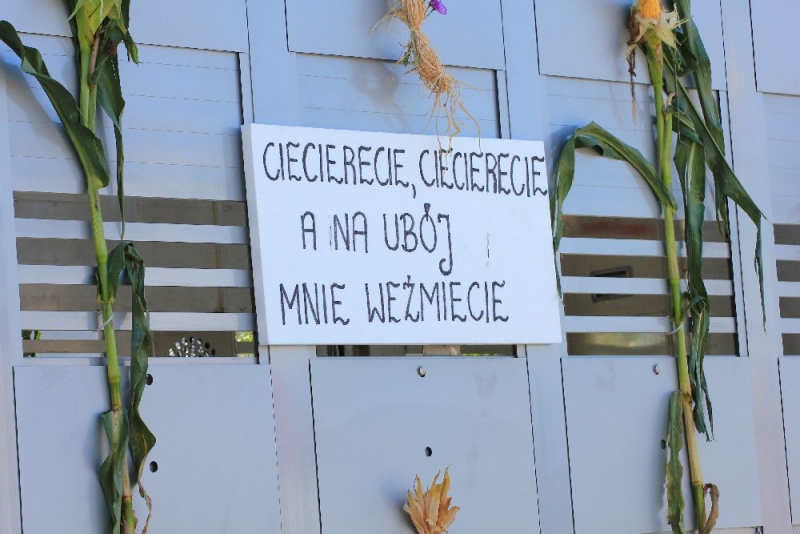 Zdjęcie w galerii na portalu naszwodzislaw.com: W Lubomi prawdziwa dożynkowa rewia wiadomości z regionu