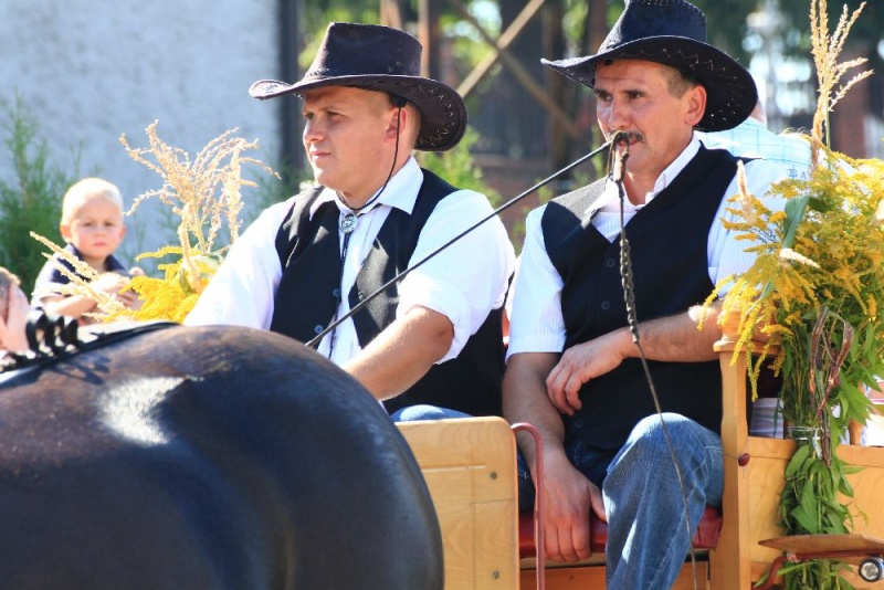 Zdjęcie w galerii na portalu naszwodzislaw.com: W Lubomi prawdziwa dożynkowa rewia wiadomości z regionu