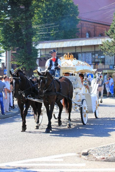 Zdjęcie w galerii na portalu naszwodzislaw.com: W Lubomi prawdziwa dożynkowa rewia wiadomości z regionu