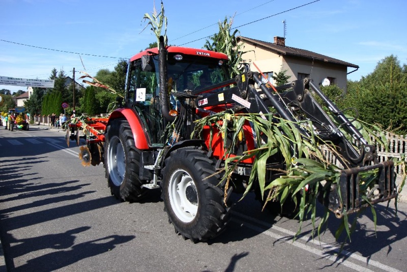 Zdjęcie w galerii na portalu naszwodzislaw.com: W Lubomi prawdziwa dożynkowa rewia wiadomości z regionu