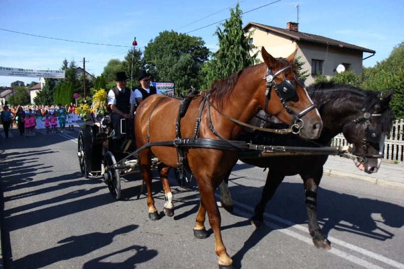 Zdjęcie w galerii na portalu naszwodzislaw.com: W Lubomi prawdziwa dożynkowa rewia wiadomości z regionu
