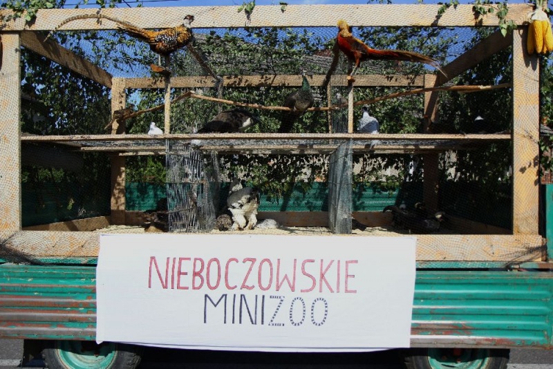 Zdjęcie w galerii na portalu naszwodzislaw.com: W Lubomi prawdziwa dożynkowa rewia wiadomości z regionu