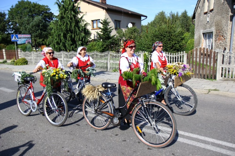 Zdjęcie w galerii na portalu naszwodzislaw.com: W Lubomi prawdziwa dożynkowa rewia wiadomości z regionu