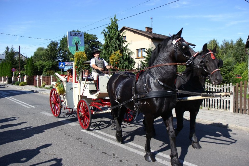 Zdjęcie w galerii na portalu naszwodzislaw.com: W Lubomi prawdziwa dożynkowa rewia wiadomości z regionu