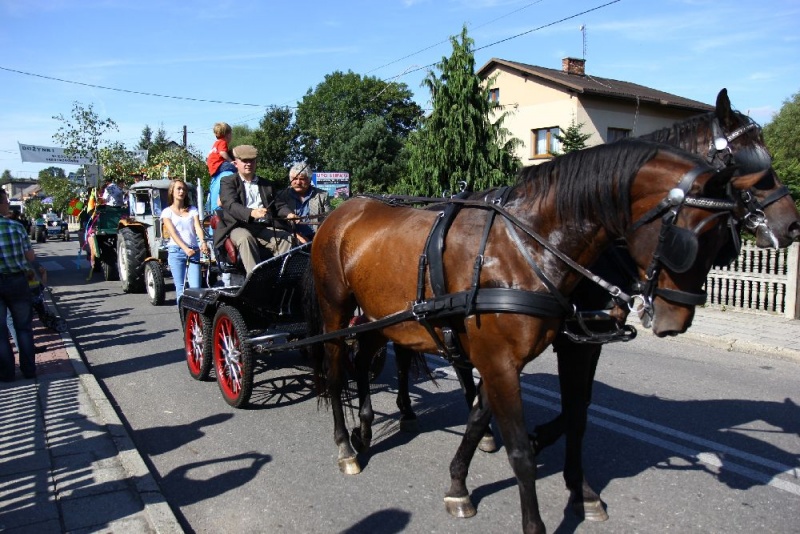 Zdjęcie w galerii na portalu naszwodzislaw.com: W Lubomi prawdziwa dożynkowa rewia wiadomości z regionu