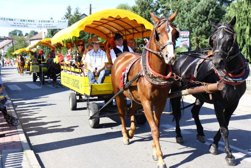 Zdjęcie w galerii na portalu naszwodzislaw.com: W Lubomi prawdziwa dożynkowa rewia wiadomości z regionu