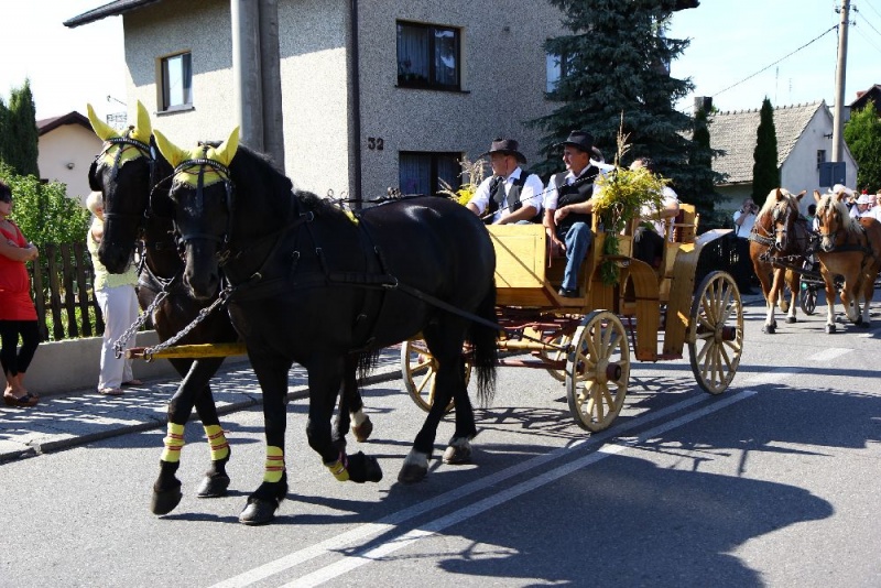 Zdjęcie w galerii na portalu naszwodzislaw.com: W Lubomi prawdziwa dożynkowa rewia wiadomości z regionu