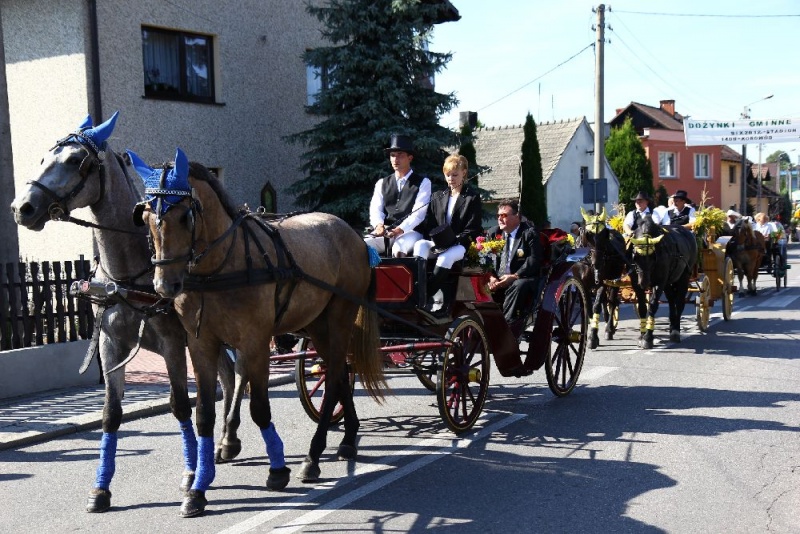 Zdjęcie w galerii na portalu naszwodzislaw.com: W Lubomi prawdziwa dożynkowa rewia wiadomości z regionu