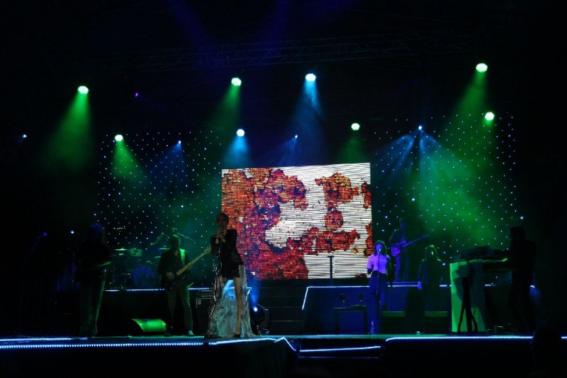 Zdjęcie w galerii na portalu naszwodzislaw.com: Wspaniały koncert Ani Wyszkoni wiadomości z regionu