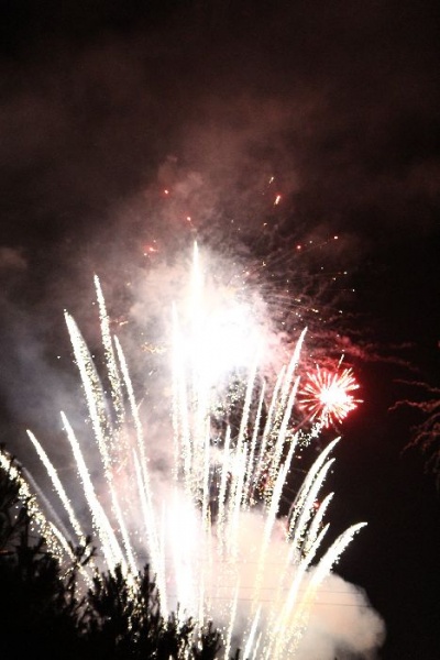 Zdjęcie w galerii na portalu naszwodzislaw.com: Wspaniały koncert Ani Wyszkoni wiadomości z regionu