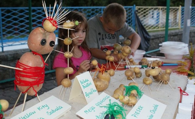 Zdjęcie w galerii na portalu naszwodzislaw.com: Piknik ziemniaczany na inaugurację GOKiR wiadomości z regionu