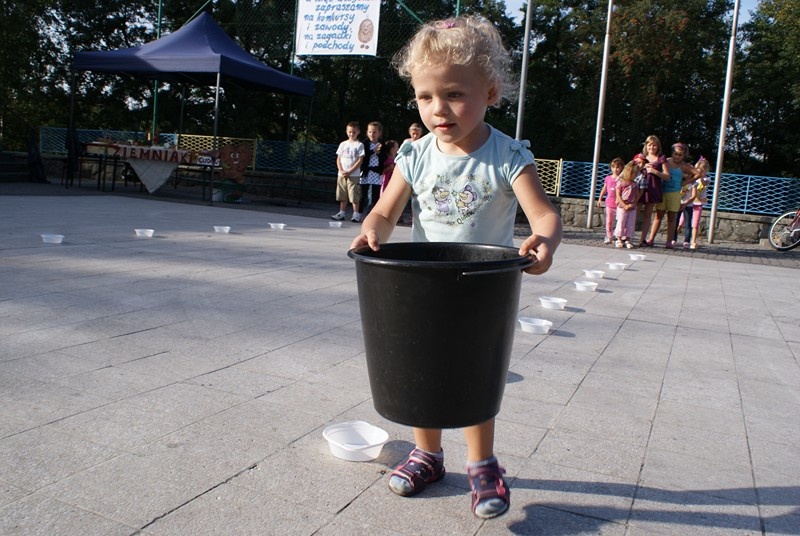 Zdjęcie w galerii na portalu naszwodzislaw.com: Piknik ziemniaczany na inaugurację GOKiR wiadomości z regionu
