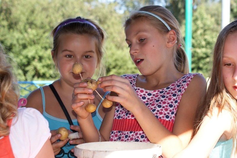 Zdjęcie w galerii na portalu naszwodzislaw.com: Piknik ziemniaczany na inaugurację GOKiR wiadomości z regionu