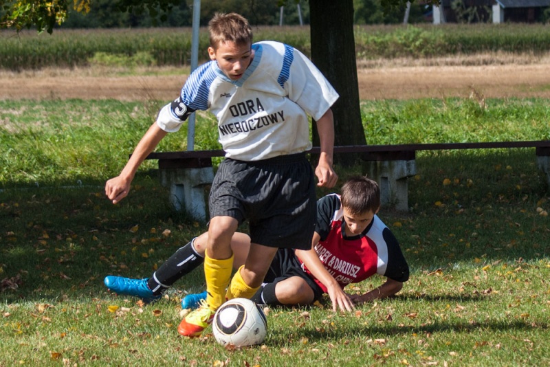 Zdjęcie w galerii na portalu naszwodzislaw.com: Nieboczowski festiwal strzelecki wiadomości z regionu