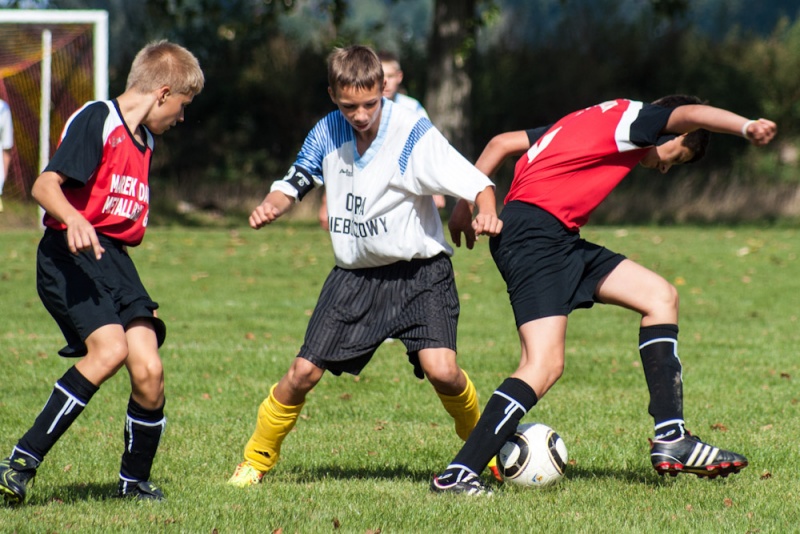 Zdjęcie w galerii na portalu naszwodzislaw.com: Nieboczowski festiwal strzelecki wiadomości z regionu