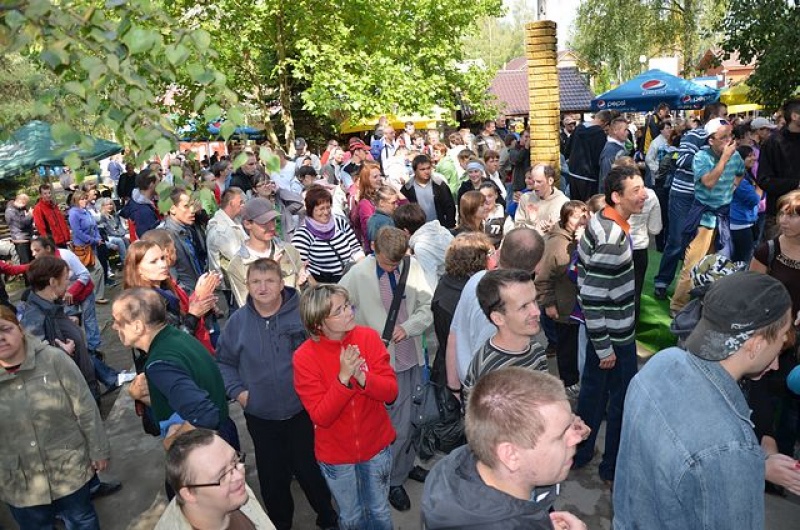 Zdjęcie w galerii na portalu naszwodzislaw.com: VII edycja imprezy w rytmie bluesa za nami! wiadomości z regionu