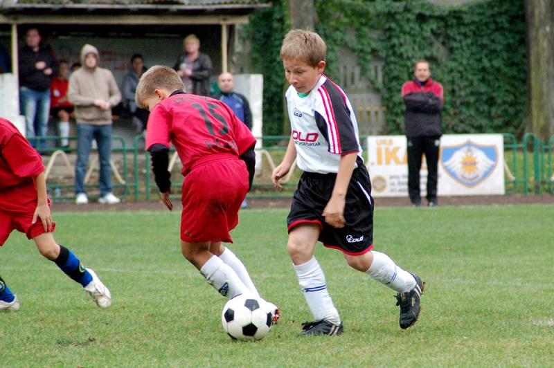 Zdjęcie w galerii na portalu naszwodzislaw.com: Ikar pokonany przez Odrę wiadomości z regionu