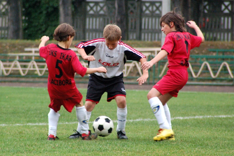 Zdjęcie w galerii na portalu naszwodzislaw.com: Ikar pokonany przez Odrę wiadomości z regionu