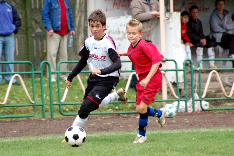 Zdjęcie w galerii na portalu naszwodzislaw.com: Ikar pokonany przez Odrę wiadomości z regionu