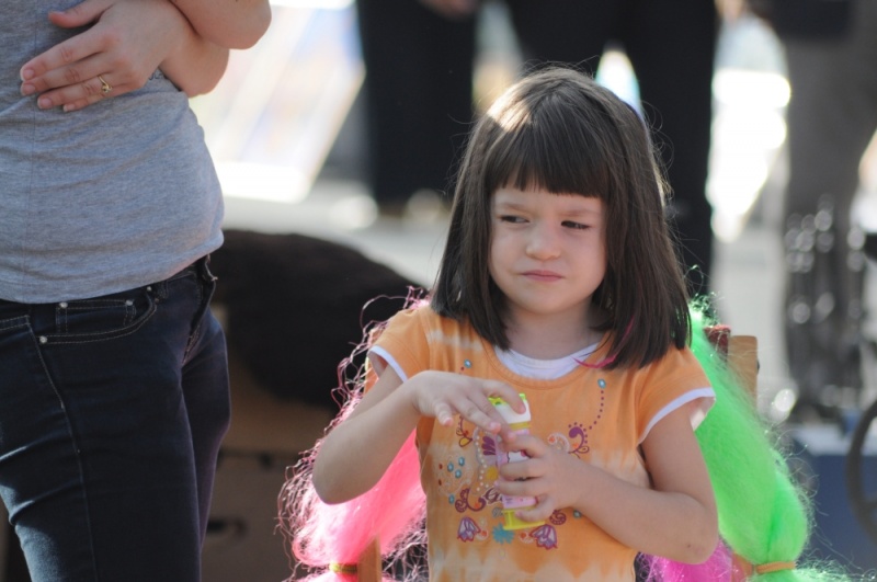 Zdjęcie w galerii na portalu naszwodzislaw.com: Rekordowy jarmark na granicy wiadomości z regionu