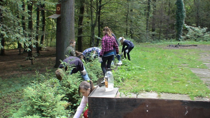 Zdjęcie w galerii na portalu naszwodzislaw.com: 21-22.09.2012 Wielkie sprzątanie Balatonu-Reaktywacja  wiadomości z regionu