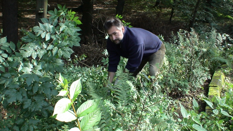 Zdjęcie w galerii na portalu naszwodzislaw.com: 21-22.09.2012 Wielkie sprzątanie Balatonu-Reaktywacja  wiadomości z regionu