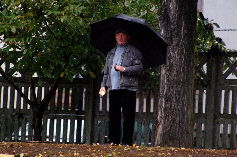 Zdjęcie w galerii na portalu naszwodzislaw.com: Deszczowa kanonada Odry wiadomości z regionu