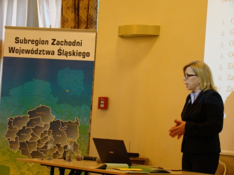 Zdjęcie w galerii na portalu naszwodzislaw.com: Eko-konsultacje z samorządami wiadomości z regionu