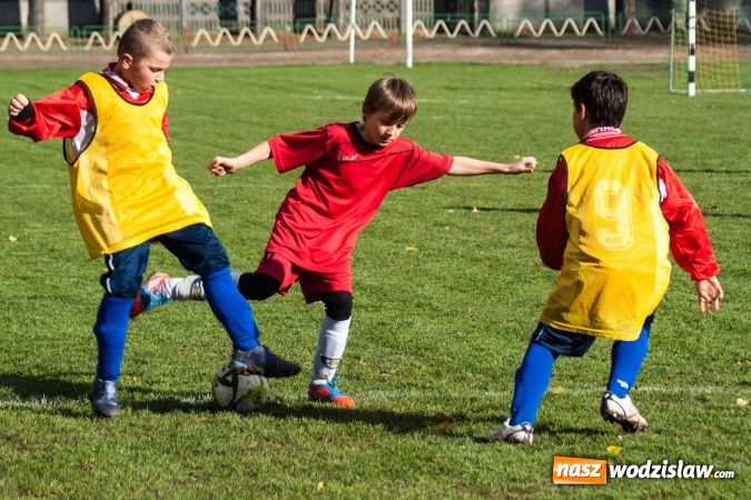 Zdjęcie w galerii na portalu naszwodzislaw.com: Krzysztof Bienia uziemił Ikara wiadomości z regionu