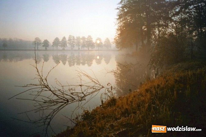 Zdjęcie w galerii na portalu naszwodzislaw.com: Dwie gminy widziane w kolorowych barwach wiadomości z regionu