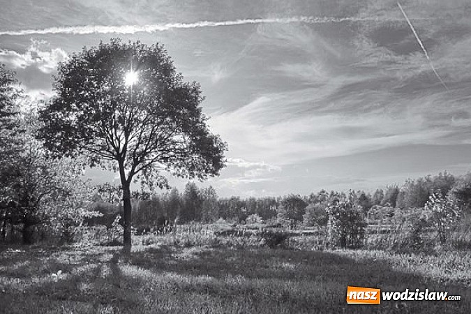 Zdjęcie w galerii na portalu naszwodzislaw.com: Dwie gminy widziane w kolorowych barwach wiadomości z regionu