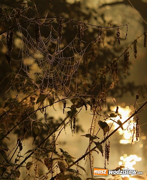 Zdjęcie w galerii na portalu naszwodzislaw.com: Dwie gminy widziane w kolorowych barwach wiadomości z regionu